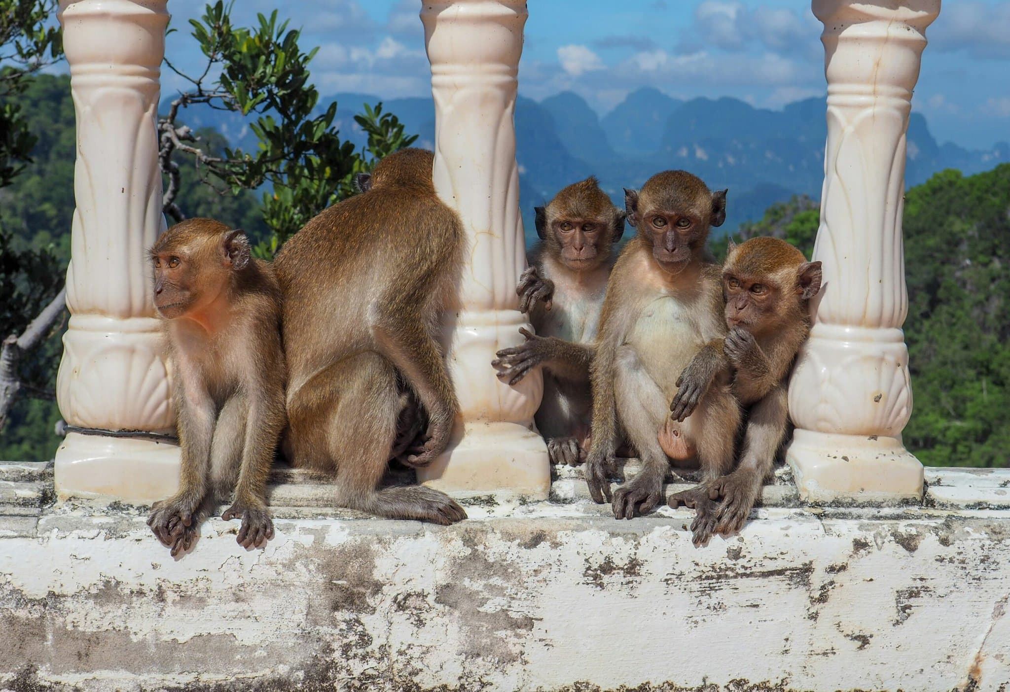 Tiger Cave Temple in Krabi, Thailand
