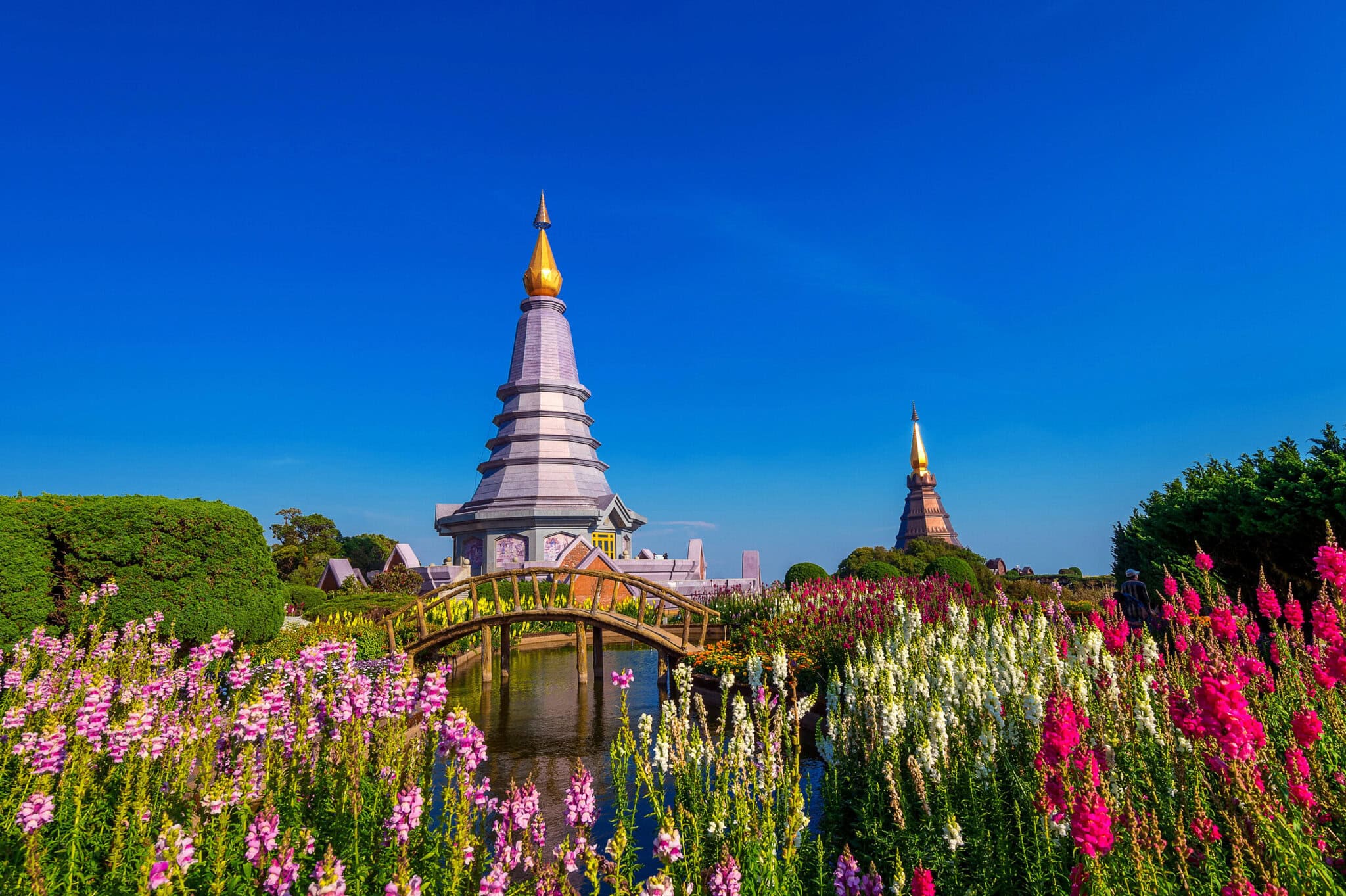 doi Inthanon national park at Chiang ma