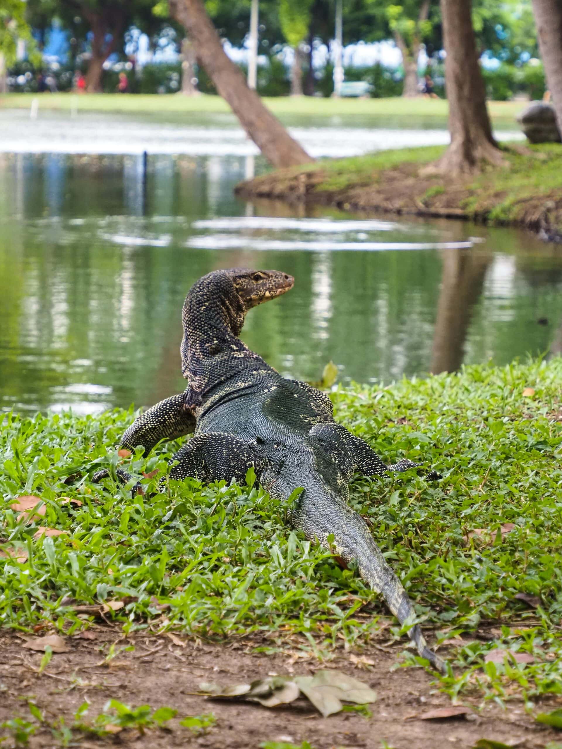 Lumphini Park