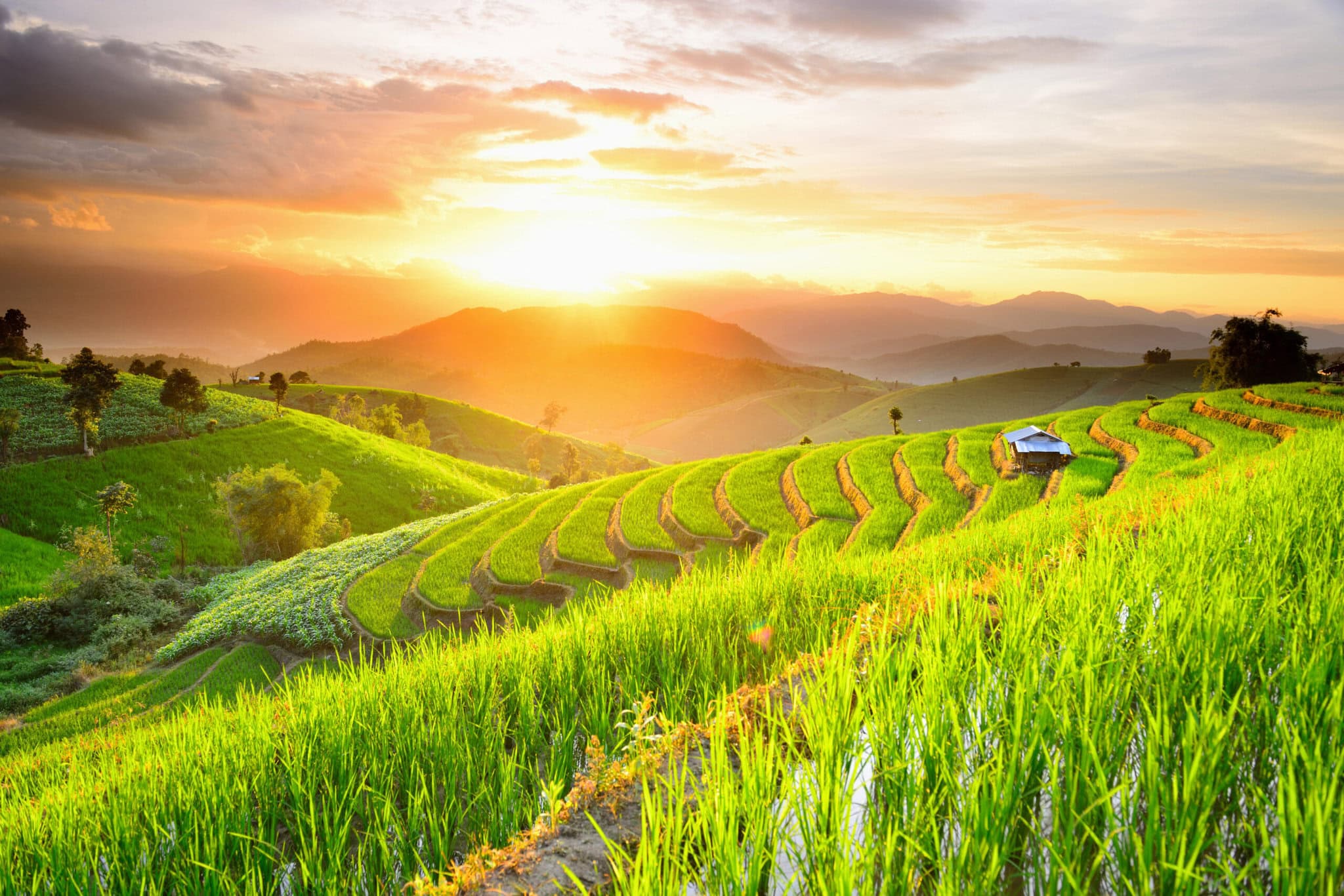 summer in thailand