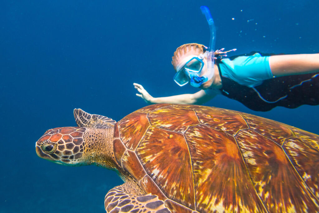 similan islands