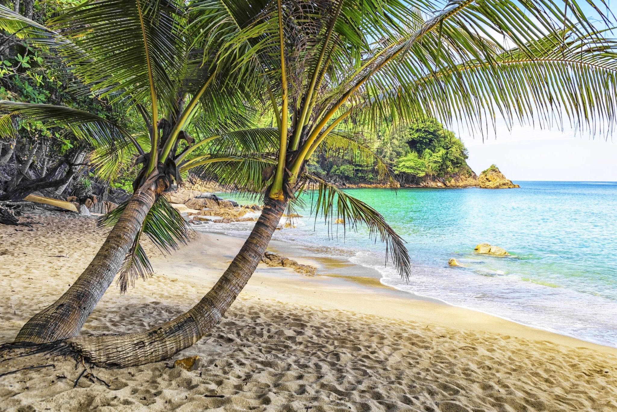banana beach